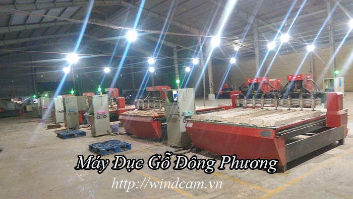 may-duc-go-go-dong-phuong